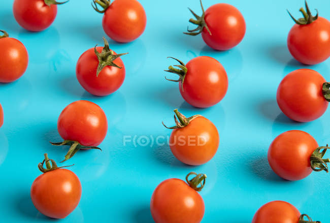 Tomates maduros frescos em espalhados no fundo azul — Fotografia de Stock