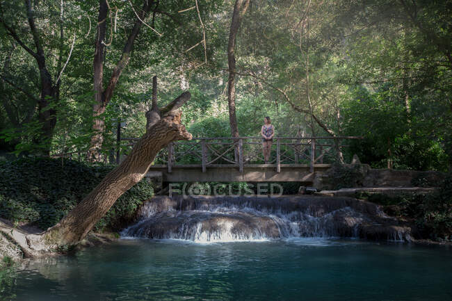 Mulher em pé na ponte acima riacho na floresta — Fotografia de Stock