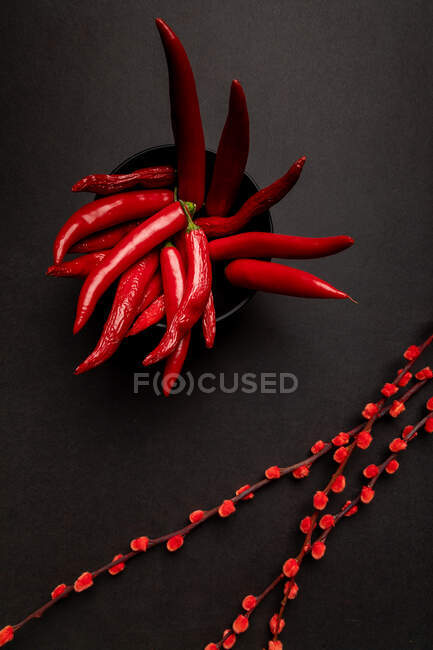 Roter Stoff und Zweige mit hellen Knospen auf schwarzem Hintergrund in der Nähe scharfer Chilischoten und reifer Erdbeeren — Stockfoto