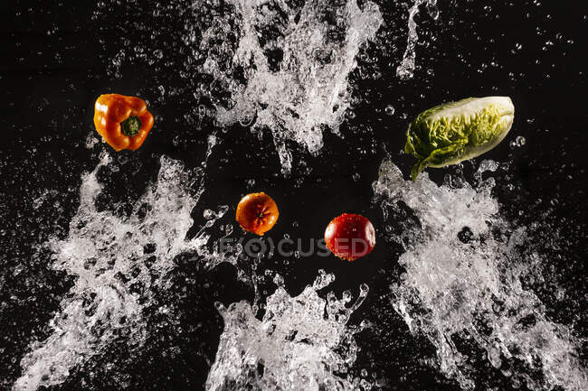 Levitando verduras maduras y ensalada en salpicaduras claras de agua sobre fondo negro - foto de stock