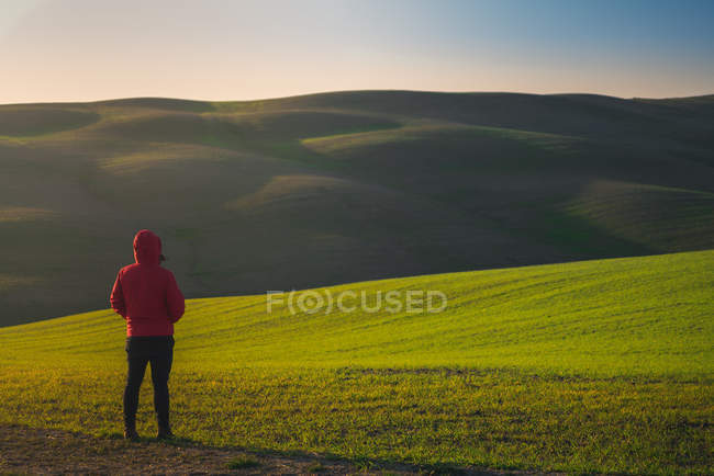 Visão traseira da pessoa de jaqueta em pé no campo verde ao pôr do sol, Itália — Fotografia de Stock