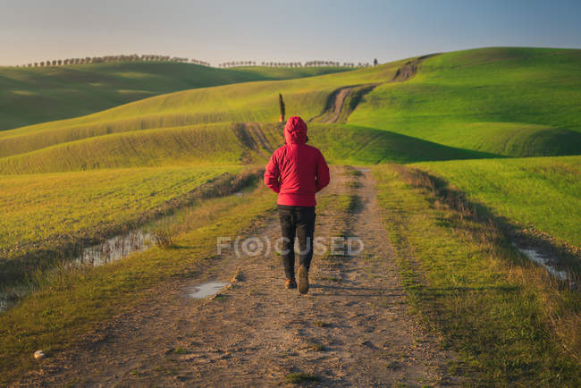 Вид сзади на человека в куртке, идущего по пустой сельской дороге в величественных зеленых полях Италии — стоковое фото