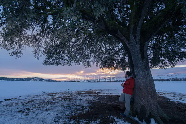 Vista lateral de hombre de mediana edad en ropa de abrigo tocando la guitarra bajo el árbol sobre fondo de paisaje nevado - foto de stock