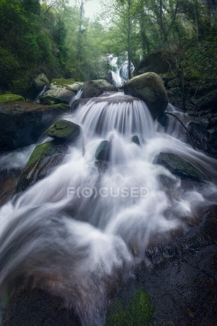 Paisaje de hermoso flujo de cascada en larga exposición sobre rocas pesadas en bosques salvajes - foto de stock