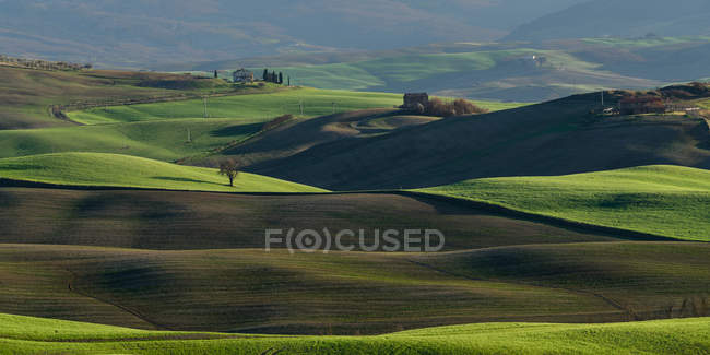 Vue des champs verts sans fin dans la lumière du soleil, Italie — Photo de stock