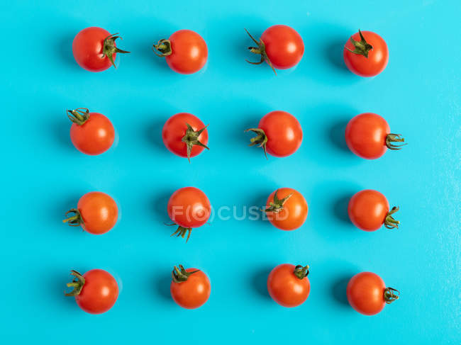 Pomodori freschi maturi sparsi su fondo blu — Foto stock