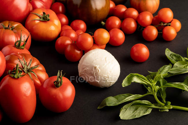 Ripe red tomatoes and basil leaves for salad on black background near ball of fresh mozzarella cheese — Stock Photo