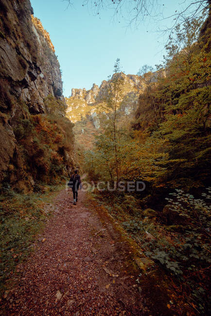 Visão traseira da mulher andando em uma estrada na natureza — Fotografia de Stock