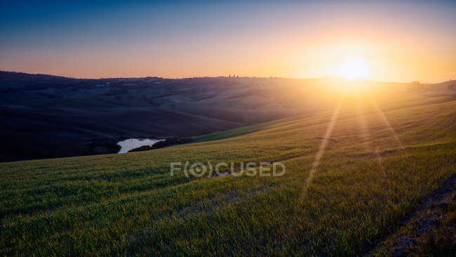 Вид на бесконечные зеленые поля при ярком солнечном свете на закате, Италия — стоковое фото