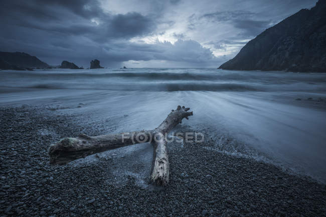 Spectacular view of driftwood on gloomy seashore around splashing waves on background of cliff and rainy sky — Stock Photo
