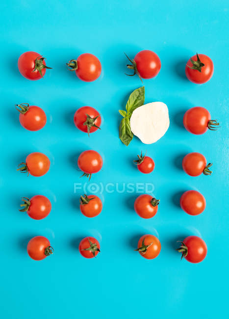 Pomodori freschi maturi e mozzarella con foglie di basilico su fondo azzurro brillante — Foto stock