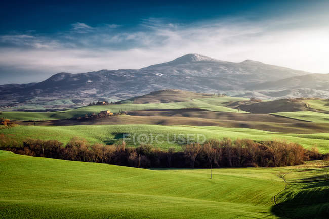 Panoramablick auf endlose grüne Felder im hellen Sonnenlicht, Italien — Stockfoto