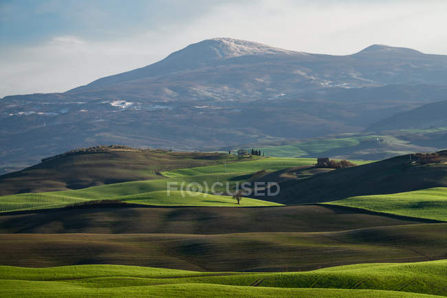 Панорамний вид нескінченних зелених полів у яскравому сонячному світлі, Італія — стокове фото