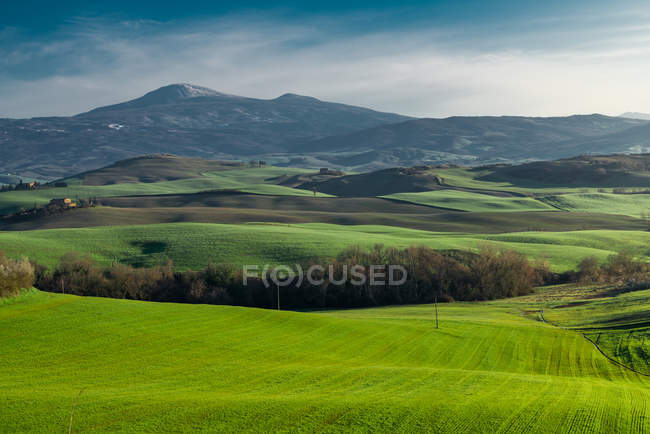 Panoramic view of endless green fields in bright sunlight, Italy — Stock Photo
