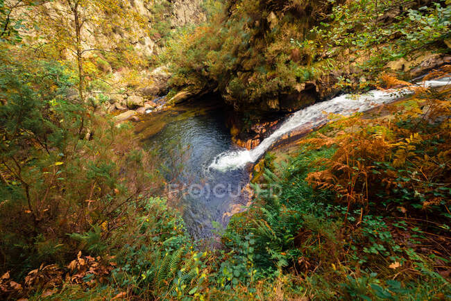 Kleiner Fluss und Wasserfall fließen in grünen dunklen schönen Wald. — Stockfoto