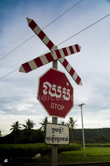 Красный дорожный знак, говорящий остановка на разных языках на пересечении шоссе против облачного неба, Камбоджа — стоковое фото