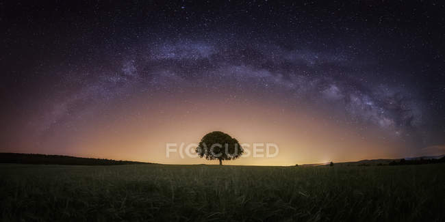 Einsamer Baum in wilder Landschaft unter hellem Nachthimmel mit Milchstraße — Stockfoto