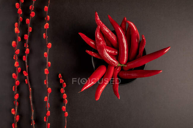 Bright buds placed on black background near hot chili peppers and sweet ripe strawberries — Stock Photo