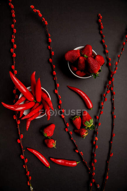 Tissu rouge et brindilles avec des bourgeons lumineux placés sur fond noir près de piments forts et de fraises mûres sucrées — Photo de stock