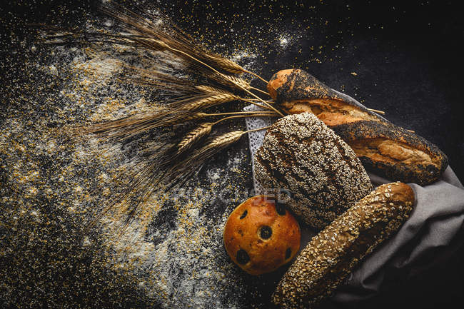 Асортимент домашніх свіжоспечених хлібних хлібів на чорному фоні — стокове фото