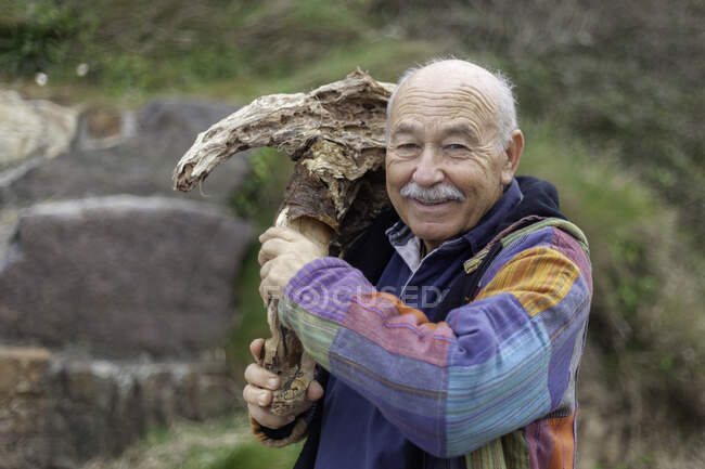 Hombre de edad en chaqueta rompiendo pieza de piedra rugosa de pie en la costa - foto de stock