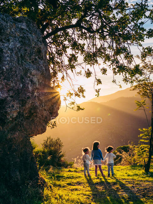 Tre bambine carine che si tengono per mano in una giornata di sole nella natura — Foto stock