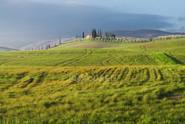 Paysage pittoresque de champs verts avec chalet et arbres au coucher du soleil, Italie — Photo de stock