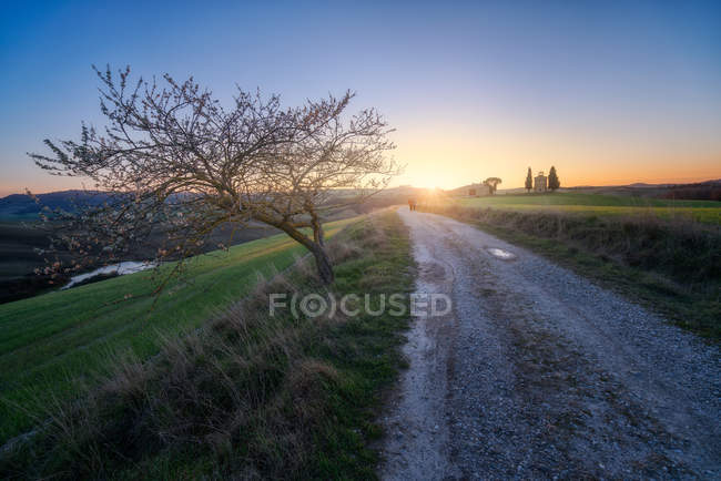 Route rurale vide dans les champs verts majestueux au coucher du soleil de l'Italie — Photo de stock