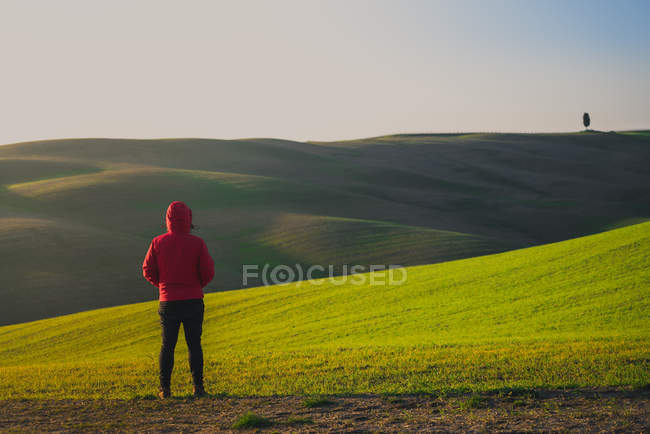 Visão traseira da pessoa de jaqueta em pé no campo verde ao pôr do sol, Itália — Fotografia de Stock