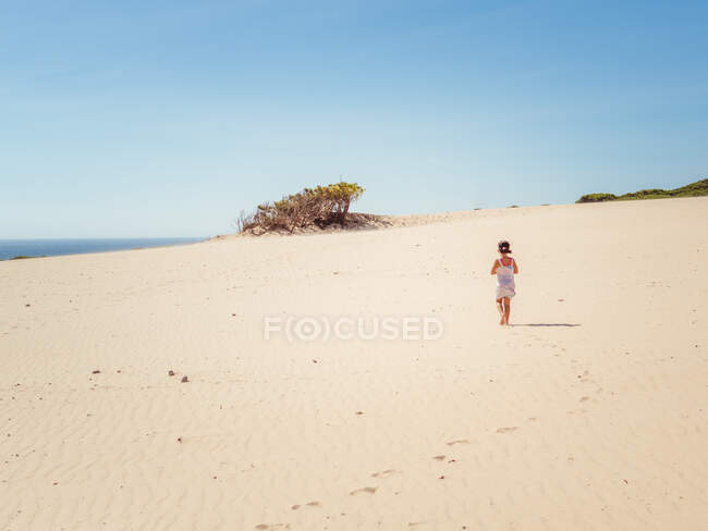 Обратный вид на анонимную маленькую девочку, гуляющую по песчаной дюне в яркий летний день — стоковое фото