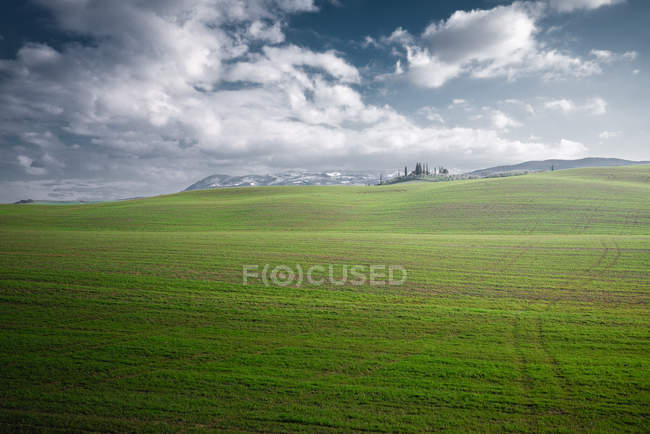 Vue panoramique de champs verts sans fin sous un soleil éclatant, Italie — Photo de stock
