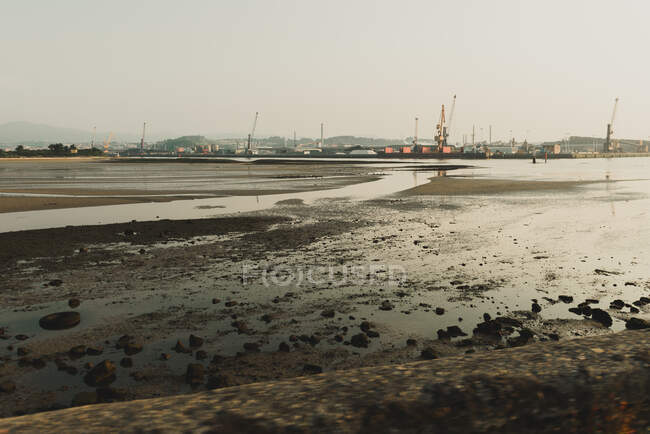 Industrial landscape with sea bay and port cranes — Stock Photo