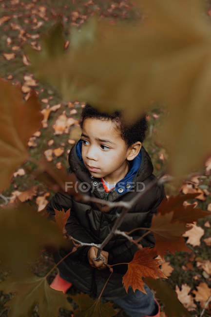 Lindo niño afroamericano mirando hacia otro lado mientras sostiene la rama con hojas de otoño en el parque - foto de stock