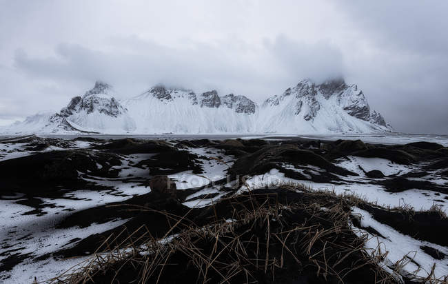 Blick auf schneebedeckte Hügel mit trockenem Gras, das morgens mit Nebel bedeckt ist — Stockfoto