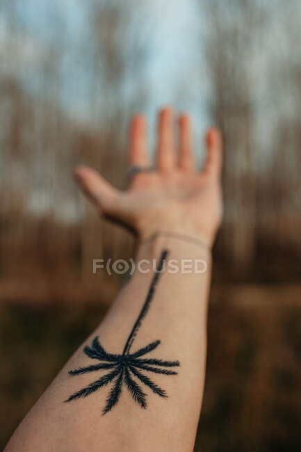 Crop hand with tattoo in countryside — Stock Photo