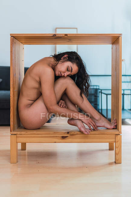 Vista lateral de la mujer desnuda que se encuentra dentro de un gabinete de madera en la habitación acogedora en casa - foto de stock