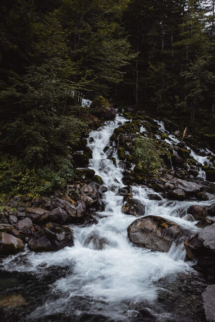Rivière de montagne rapide dans le ravin — Photo de stock