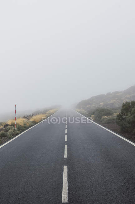 Estrada vazia através da floresta no dia nublado — Fotografia de Stock