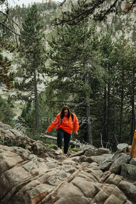 Mujer caminando por sendero en el bosque - foto de stock