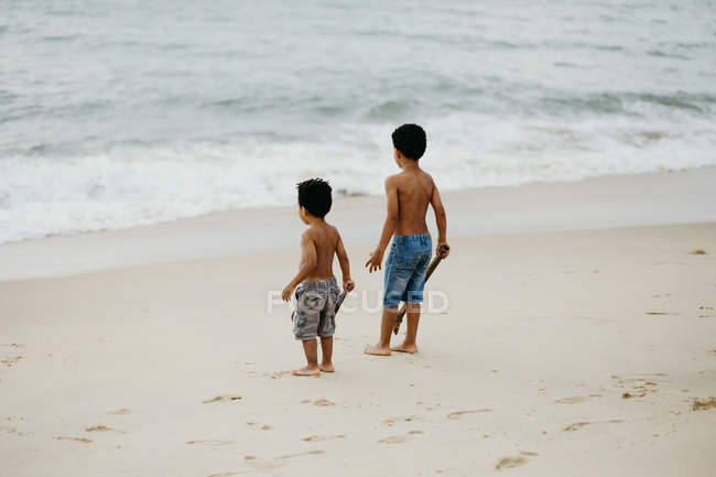 Два афроамериканських брати з палицями бавляться на піщаному березі біля моря. — стокове фото