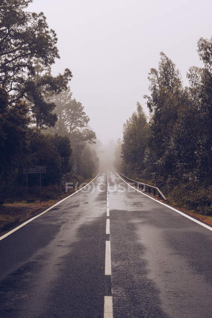 Strada vuota attraverso boschi in giornata nuvolosa — Foto stock