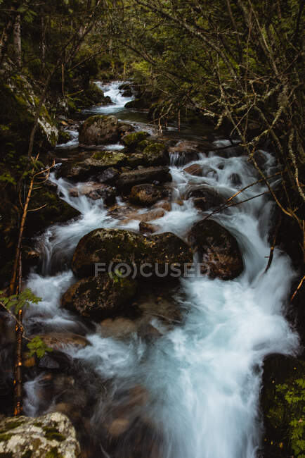 Río de montaña rápido en barranco - foto de stock