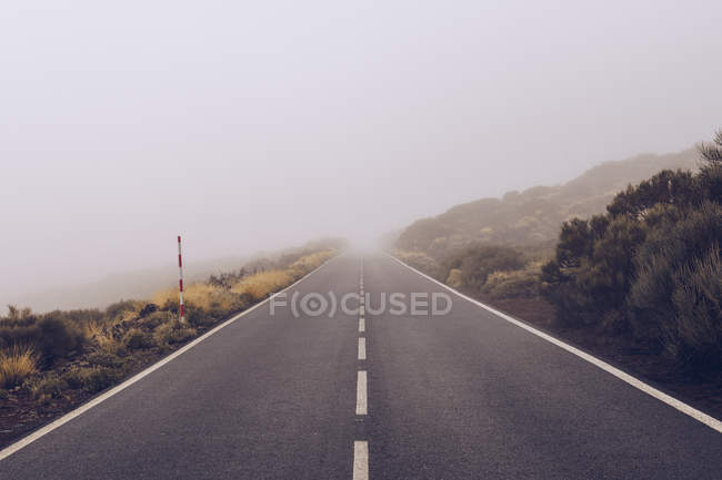 Strada vuota attraverso boschi in giornata nuvolosa — Foto stock