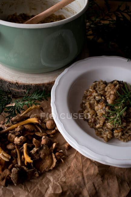 Panela e prato de risoto de arroz delicioso com carne de coelho e cogumelos decorados com raminho de alecrim fresco na cozinha — Fotografia de Stock