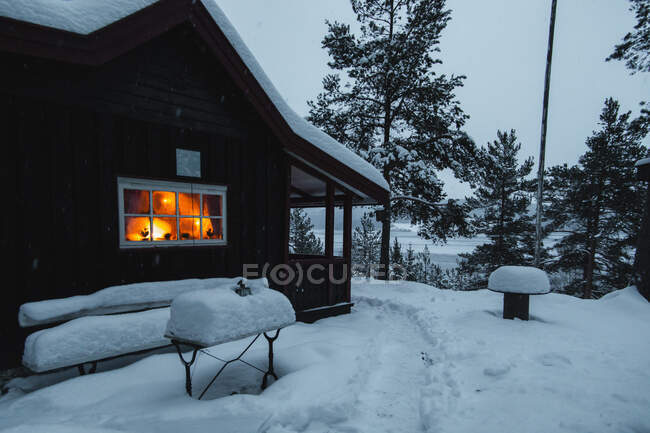 Casa de campo con luz cálida en ventana situada cerca de árboles de coníferas en la maravillosa naturaleza de invierno - foto de stock