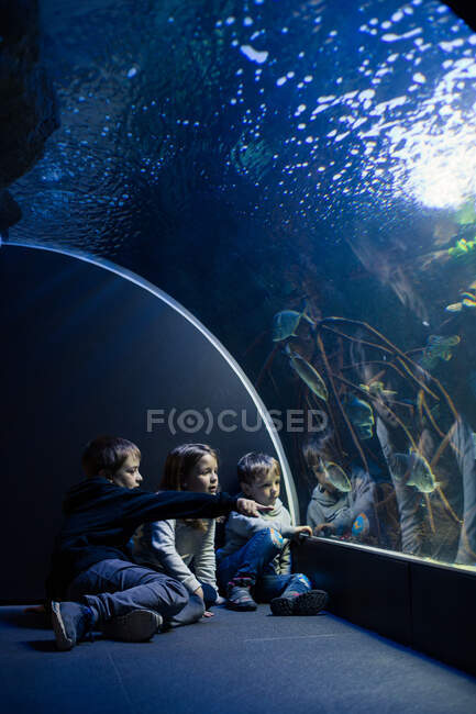 Due ragazzi e una ragazza, che fissano i pesci in un acquario accanto al vetro della piscina — Foto stock