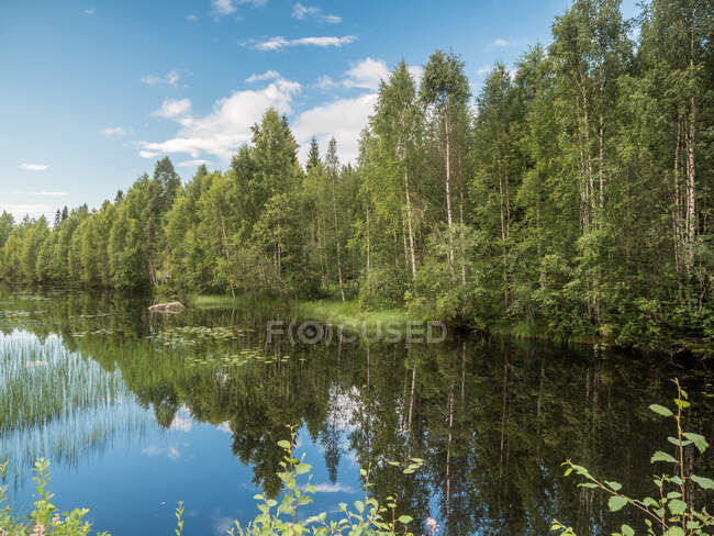 Amazing summer sunny landscape with river, meadow and forest in Finland — Stock Photo
