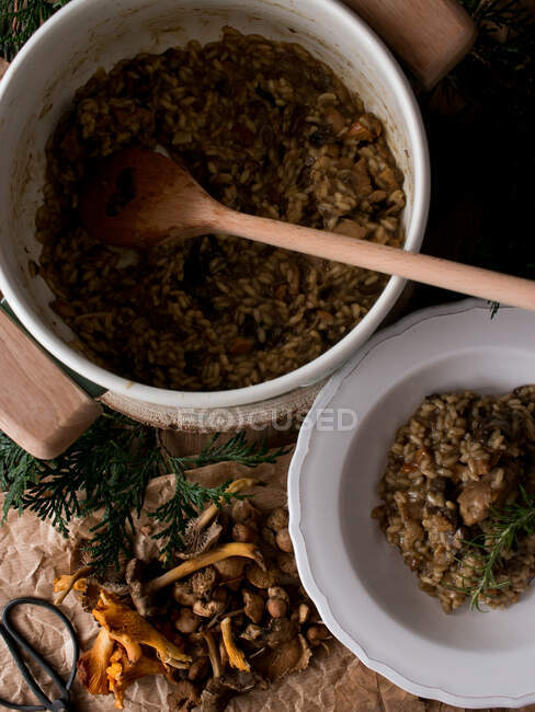 Pan and plate of delicious rice risotto with rabbit meat and mushrooms decorated with fresh rosemary sprig in kitchen — Stock Photo