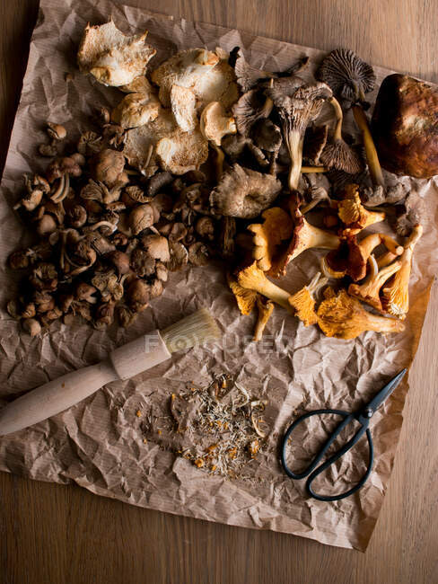 Escova e pequena tesoura colocada em papel manteiga enrugada perto do jogo de cogumelos secados variados na mesa de madeira — Fotografia de Stock