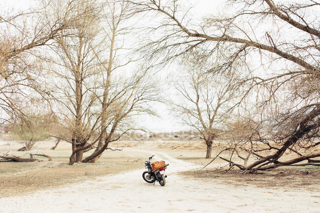 Motocicleta situada en la estrecha carretera de campo en el campo seco durante el viaje en la naturaleza - foto de stock